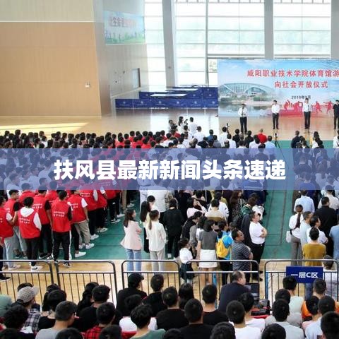 扶风县最新新闻头条速递