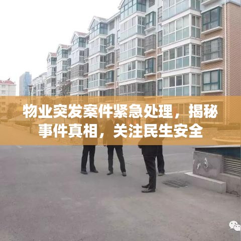 物业突发案件紧急处理，揭秘事件真相，关注民生安全