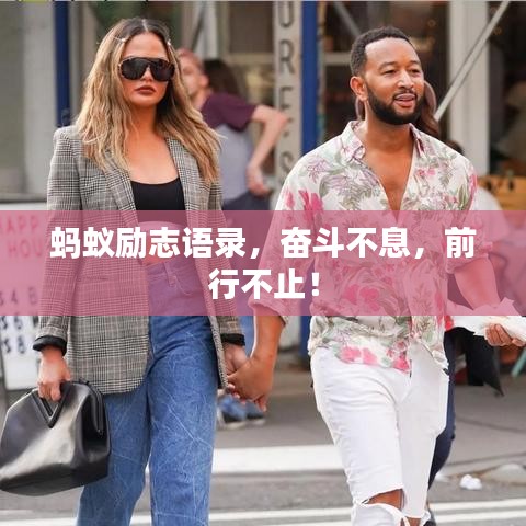 蚂蚁励志语录，奋斗不息，前行不止！