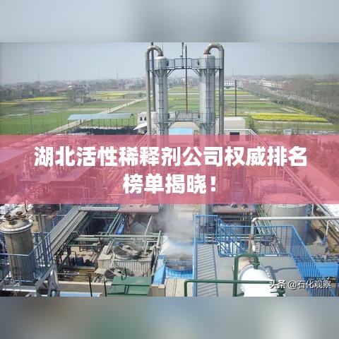 湖北活性稀释剂公司权威排名榜单揭晓！
