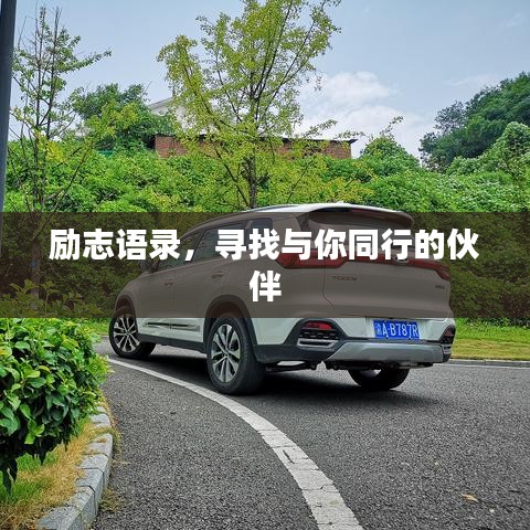 励志语录，寻找与你同行的伙伴