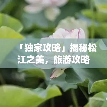「独家攻略」揭秘松江之美，旅游攻略图助你畅游胜地！