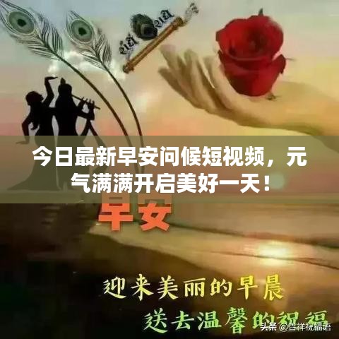 今日最新早安问候短视频，元气满满开启美好一天！