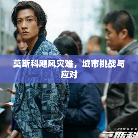 莫斯科飓风灾难，城市挑战与应对