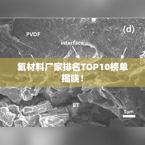 氟材料厂家排名TOP10榜单揭晓！