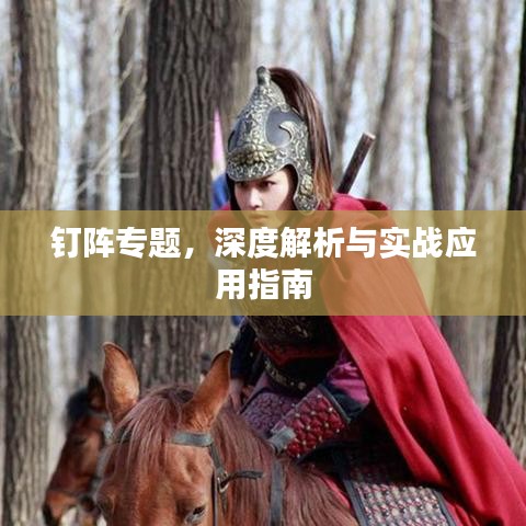 钉阵专题，深度解析与实战应用指南