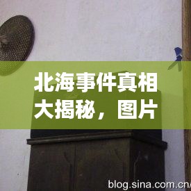 北海事件真相大揭秘，图片证据曝光！
