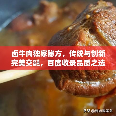 卤牛肉独家秘方，传统与创新完美交融，百度收录品质之选！