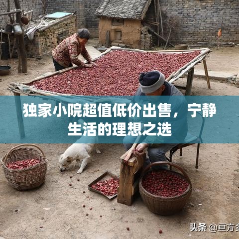 独家小院超值低价出售，宁静生活的理想之选