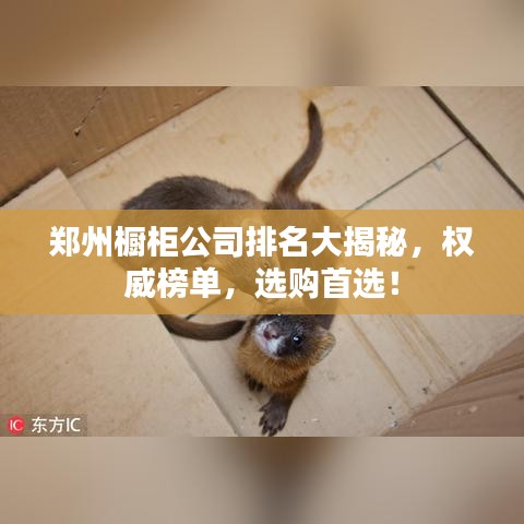 郑州橱柜公司排名大揭秘，权威榜单，选购首选！