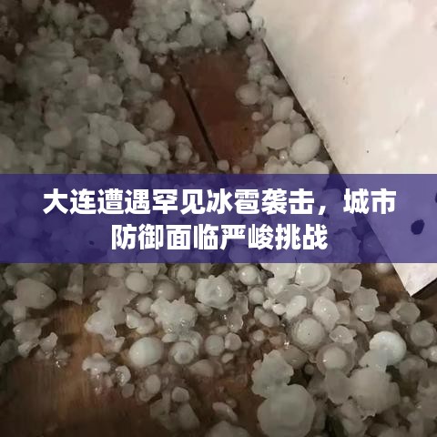 对答如流 第3页