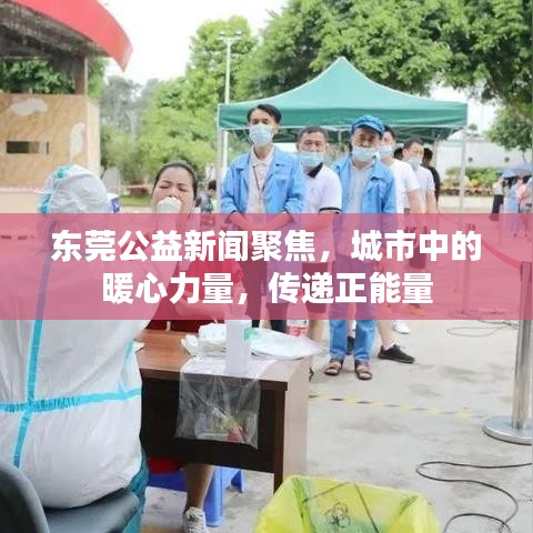 东莞公益新闻聚焦，城市中的暖心力量，传递正能量