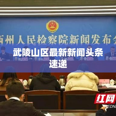武陵山区最新新闻头条速递