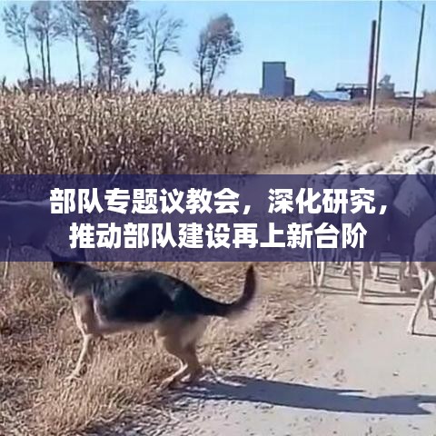 部队专题议教会，深化研究，推动部队建设再上新台阶