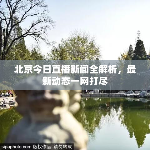 北京今日直播新闻全解析，最新动态一网打尽