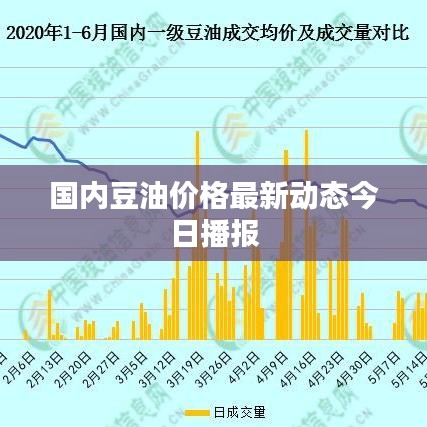 国内豆油价格最新动态今日播报