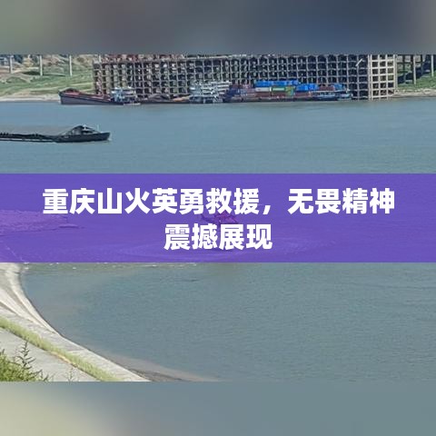 重庆山火英勇救援，无畏精神震撼展现