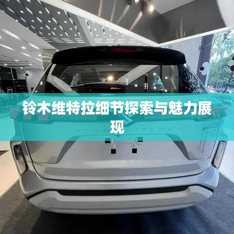 铃木维特拉细节探索与魅力展现