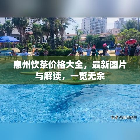 雍容华贵 第3页