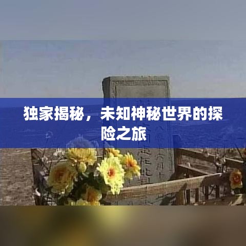 独家揭秘，未知神秘世界的探险之旅