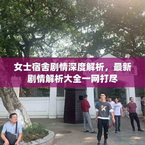 女士宿舍剧情深度解析，最新剧情解析大全一网打尽