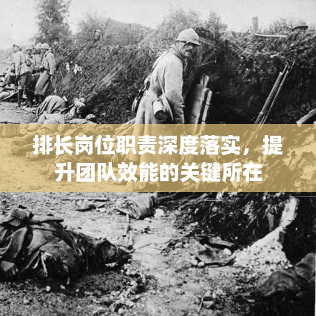 排长岗位职责深度落实，提升团队效能的关键所在