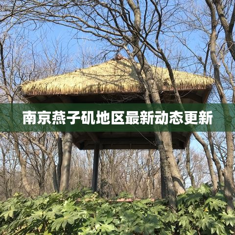 南京燕子矶地区最新动态更新