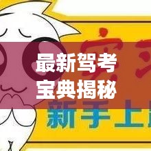 观往知来 第3页