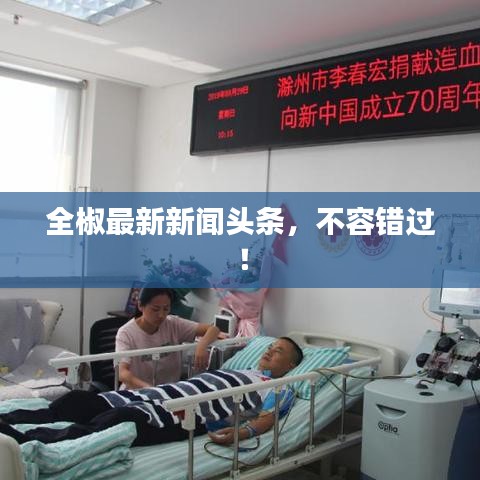 全椒最新新闻头条，不容错过！