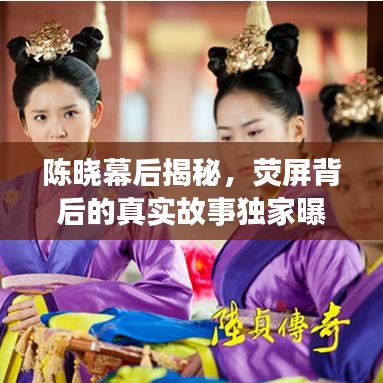 陈晓幕后揭秘，荧屏背后的真实故事独家曝光