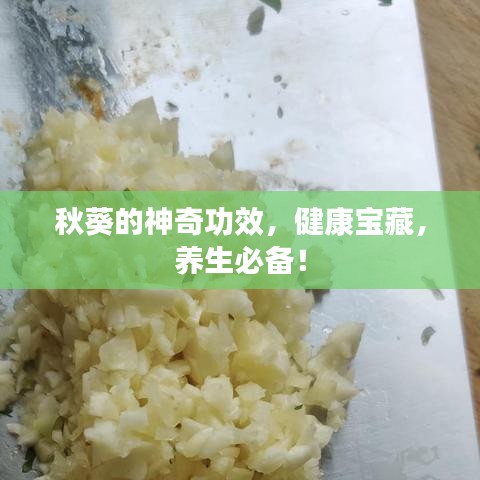秋葵的神奇功效，健康宝藏，养生必备！