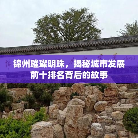 踊贵屦贱 第3页