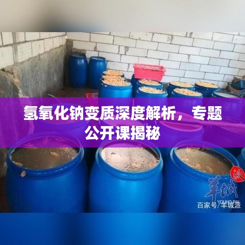 氢氧化钠变质深度解析，专题公开课揭秘