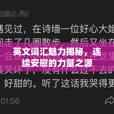 英文词汇魅力揭秘，连续安慰的力量之源