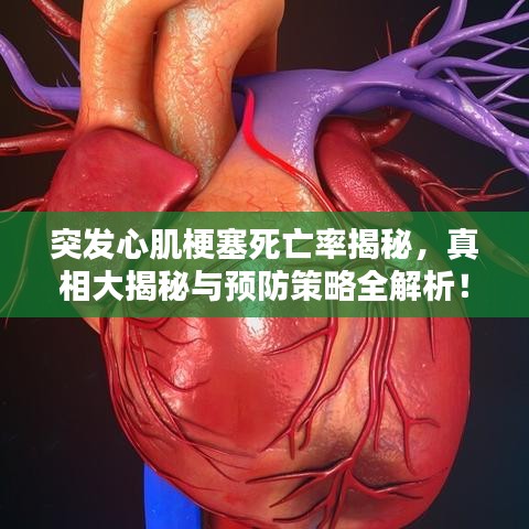 突发心肌梗塞死亡率揭秘，真相大揭秘与预防策略全解析！