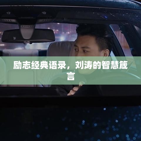 励志经典语录，刘涛的智慧箴言