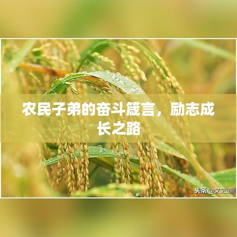 农民子弟的奋斗箴言，励志成长之路