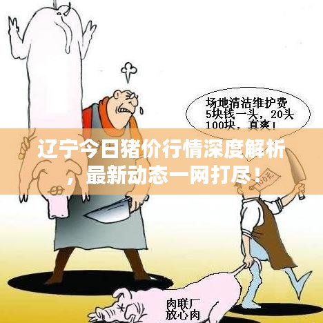 辽宁今日猪价行情深度解析，最新动态一网打尽！