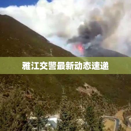 雅江交警最新动态速递