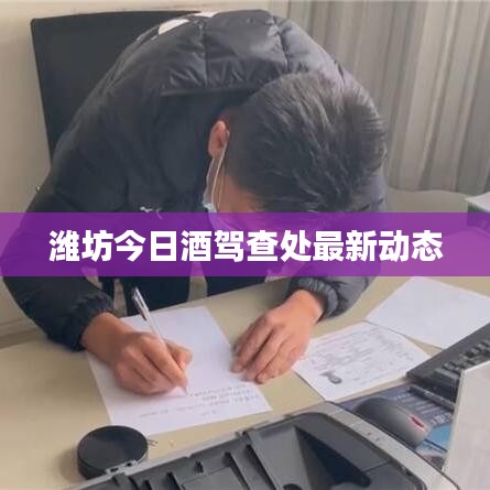 潍坊今日酒驾查处最新动态