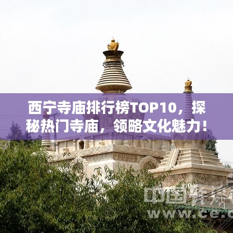 西宁寺庙排行榜TOP10，探秘热门寺庙，领略文化魅力！
