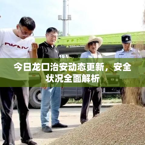 今日龙口治安动态更新，安全状况全面解析