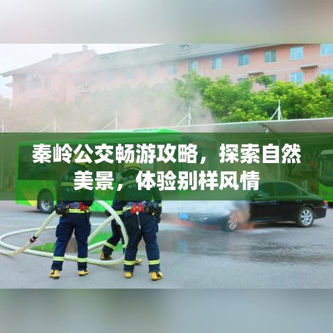 秦岭公交畅游攻略，探索自然美景，体验别样风情