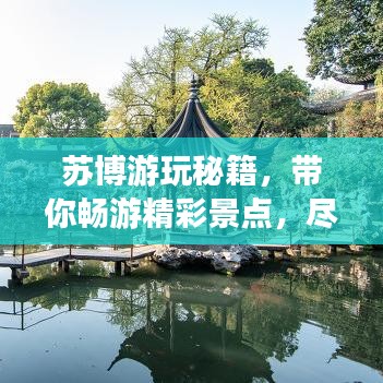 苏博游玩秘籍，带你畅游精彩景点，尽享独特体验！