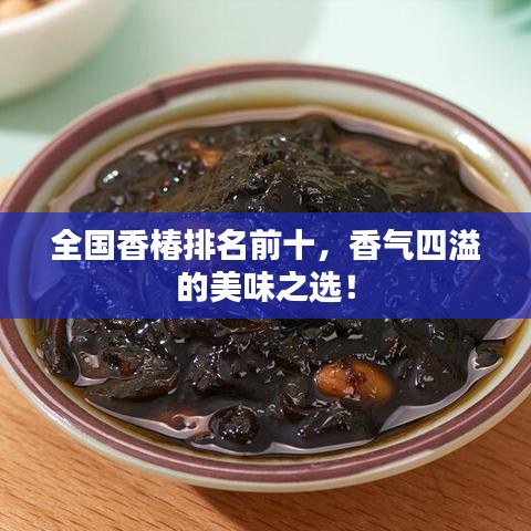 人杰地灵 第3页