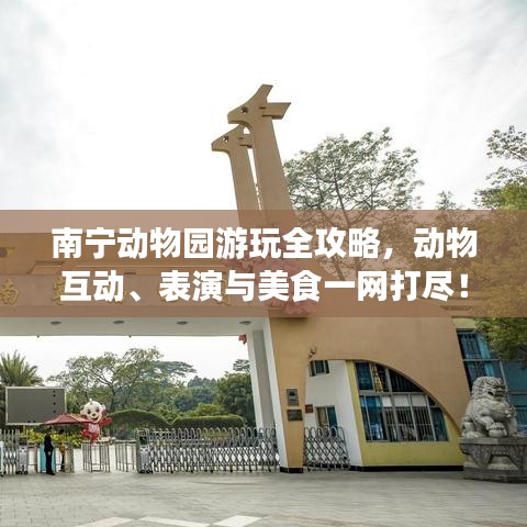 南宁动物园游玩全攻略，动物互动、表演与美食一网打尽！