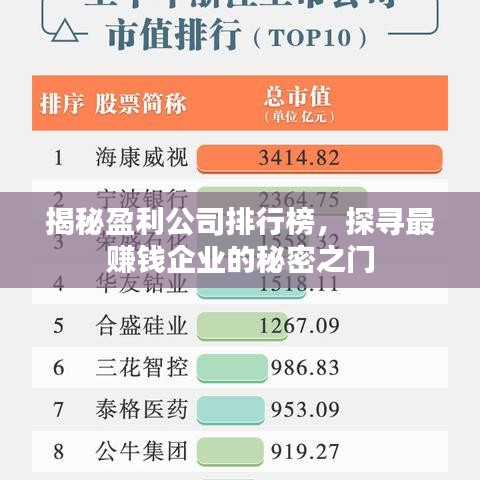 揭秘盈利公司排行榜，探寻最赚钱企业的秘密之门