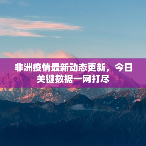 非洲疫情最新动态更新，今日关键数据一网打尽