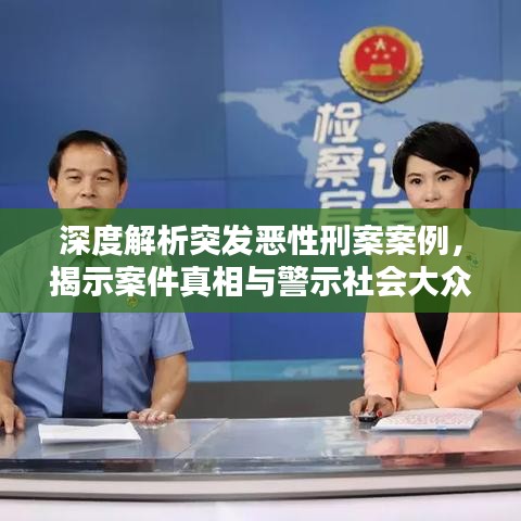 深度解析突发恶性刑案案例，揭示案件真相与警示社会大众