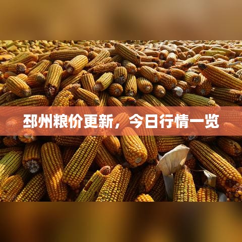 邳州粮价更新，今日行情一览